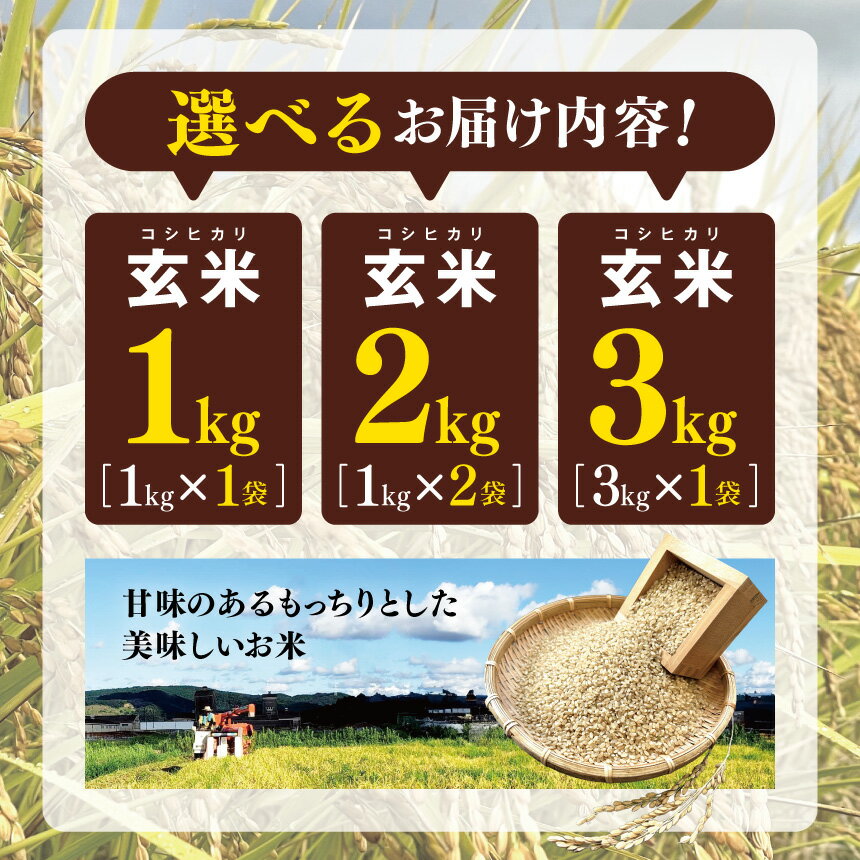 【ふるさと納税】 コシヒカリ 玄米 1kg or 2kg or 3kg | やさまる 少量 小分け 米 こめ お米 おこめ げんまい やさまる こしひかり 千葉県 君津市 きみつ