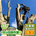 【ふるさと納税】君津市 木 の 伐採 作業 (高さ7m未満 1本) | 君津市 の 実家 君津市 の 空き家 木こり商会 地元 庭の手入れ プレゼント ばっさい イチオシ 君津市 千葉県 きみつ