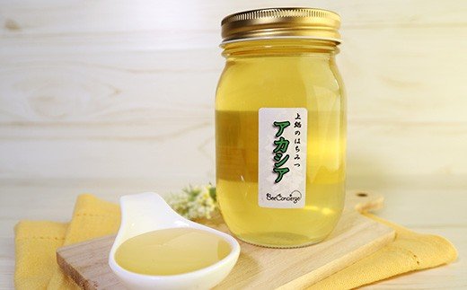 【ふるさと納税】 純国産 無添加 アカシア はちみつ 600g 1瓶 | 定置 養蜂 送料無料 齊藤兄弟 透明感があり すっきりとした味わい Bee concierge ビーコンシェルジュ イチオシ 君津市 きみつ 千葉県