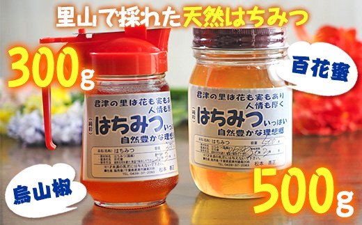 純国産 はちみつ 計2瓶 君津産 百花蜜 500g 1瓶 & 烏山椒 300g ハニーディスペンサー入り 1瓶 無添加 送料無料 人気の直売所 農事組合法人なごみの里君津 君津市 きみつ 千葉県