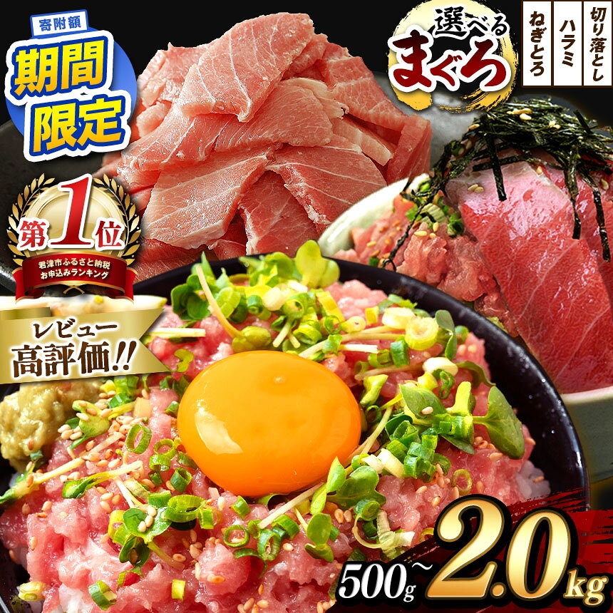【ふるさと納税】 【 レビューキャンペーン 実施中 ！】まぐろ ねぎとろ 選べる 500g～2000g | 小分け マグロ ハラミ たたき 切り落とし 鮪 海鮮 海鮮丼 冷凍 手巻き 寿司 冷凍 魚 君津市 定期便 3回 | 千葉県 君津 きみつ 6千円 9千円 1万2千円