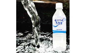 【ふるさと納税】ミネラルウォーター 平成の名水 天然水 50