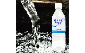 ミネラルウォーター 平成の名水 天然水 500ml ペットボトル 24本 | 送料無料 弱アルカリ性 無添加 天然水 平成の名水百選 生きた水 久留里 水 (深井戸水) 軟水 きみつ 君津 千葉