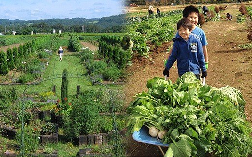 【ふるさと納税】】会員制 貸農園 「カズサ愛彩ガーデンファーム」 年間会員権（5坪） | 送料無料 体験型リゾート農…