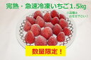 5位! 口コミ数「1件」評価「4」国産 急速冷凍 完熟いちご 1.5kg 冷凍便 増量しました！ きみつ