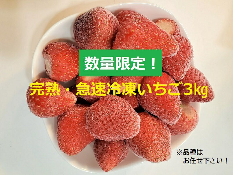 31位! 口コミ数「0件」評価「0」国産 急速冷凍 完熟いちご 3kg | 冷凍便 増量しました！ 果物 フルーツ くだもの いちご イチゴ 苺 冷凍 いちご 千葉 君津 きみ･･･ 