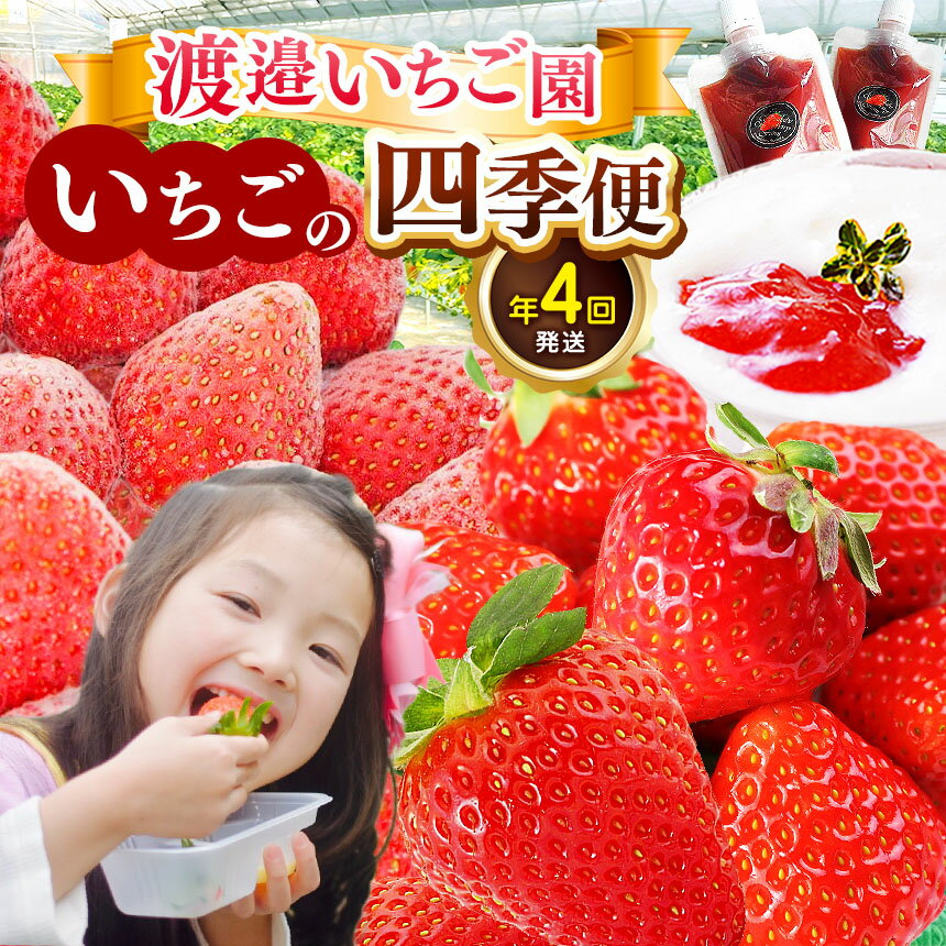 【ふるさと納税】【定期便 4回】 渡邉いちご園を楽しむ“いちごの四季便” | 苺 いちご イチゴ 果物 フルーツ ふるーつ れいとう 果実 果汁 冷凍 冷凍いちご 朝採り 完熟 新鮮 いちごソース 割引券 チケット スムージー オススメ 渡邊いちご 千葉県 君津市 きみつ