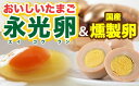 25位! 口コミ数「0件」評価「0」おいしい 卵 たまご 永光卵 上総の幸せ ＆ 上総の森セット 送料無料 （上総の幸せ）永光卵10個入り×4パック （上総の森）永光卵10個入･･･ 