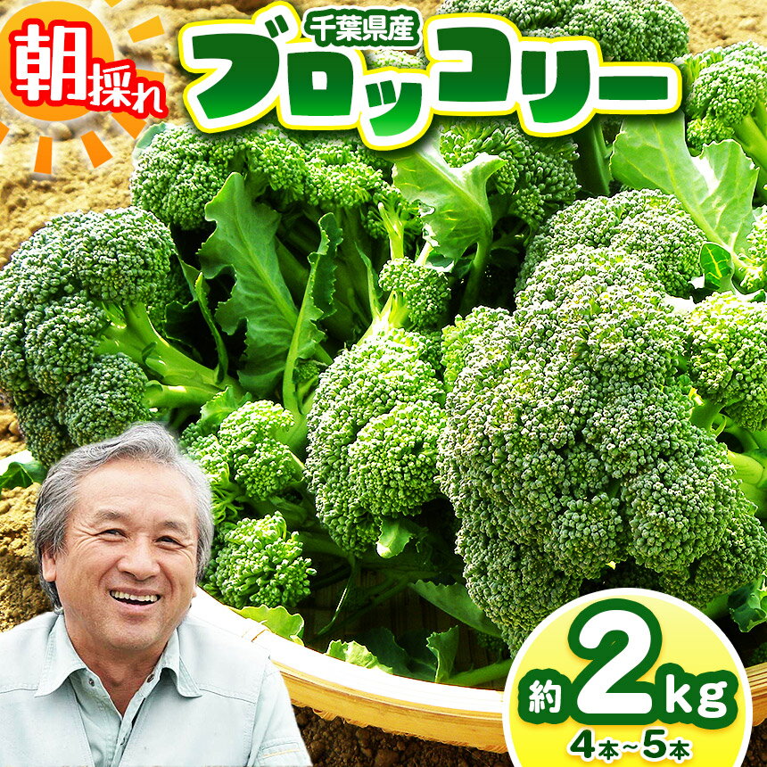 【ふるさと納税】にがり農法 ブロッコリー 約2kg 約4〜5本 | 鈴木アル・ファーム ブロッコリー にがり農法 国産 新鮮 詰め合わせ 産地直送 栄養たっぷり...