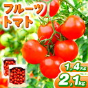 【ふるさと納税】【 選べる 容量 】フルーツトマト 約1400g or 約2100g | 野菜 トマト フルーツトマト 中玉トマト 大容量 有機肥料 とまと 地下水 鈴木農園 鈴木メロン園 千葉 君津 きみつ