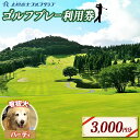 【ふるさと納税】 上総富士ゴルフクラブ 利用券 【3,000円分】 | イベント チケット 体験チケット ゴルフ ゴルフ利用券 看板犬 千葉県 君津市