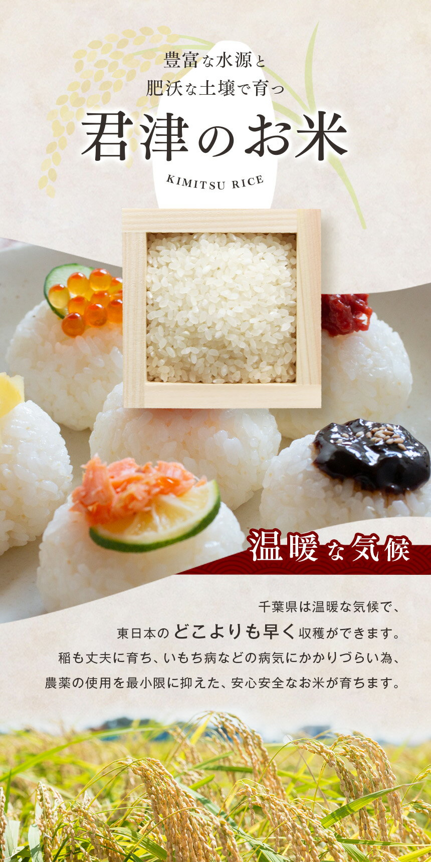 【ふるさと納税】【 定期便 あり】 精米 or 玄米 令和7年産 コシヒカリ 5kg ～ 30kg きれいな水で育てたお米 | 保坂農場 ちばエコ農産物 白米 ご飯 君津市産 こしひかり おにぎり お弁当 君津市産 イチオシ 千葉 君津市 きみつ 房総