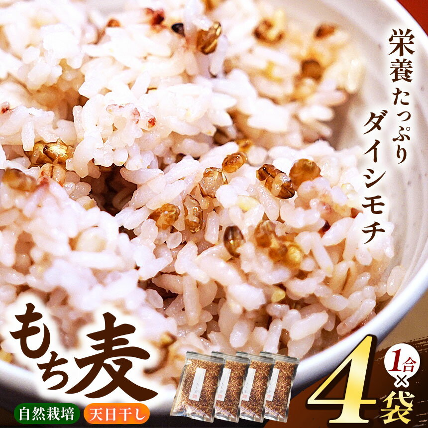 もち麦 ( ダイシモチ ) 4袋 セット( 1合 × 4袋)[ 無農薬 無肥料 自然栽培 天日干し ] | ののま自然農園 もちむぎ 古代米 雑穀 千葉県 君津市
