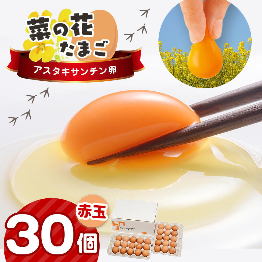 【ふるさと納税】たまご 卵 定期便 4回 【 赤玉 4種 】 食べ比べ 4回 君津市産 | 菜の花エッグ アスタキサンチン卵 菜の花たまご 三枝農場 保坂農場 光永ファーム たまご タマゴ 玉子 定期 赤 卵かけご飯 新鮮 イチオシ 千葉県 君津市 きみつ