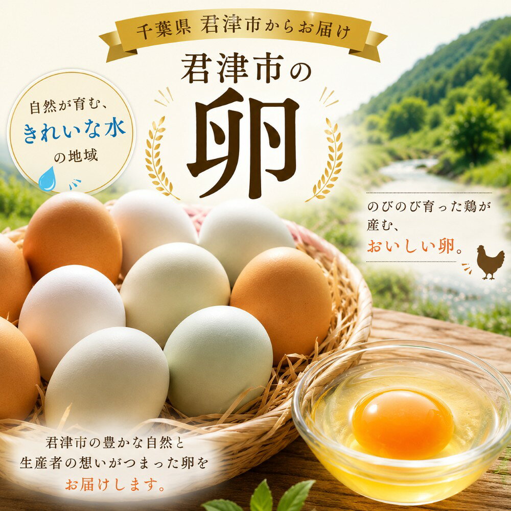 【ふるさと納税】たまご 卵3色 アソート 3回 定期便 白玉 赤玉 青玉 食べ比べ 君津市産 | 菜の花エッグ アスタキサンチン卵 菜の花たまご 三枝農場 赤卵 赤玉 保坂農場 アローカナ たまご 卵 タマゴ 玉子 卵かけご飯 新鮮 千葉県 君津市 きみつ