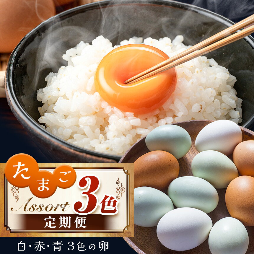 【ふるさと納税】たまご 卵3色 アソート 3回 定期便 白玉 赤玉 青玉 食べ比べ 君津市産 | 菜の花エッ...