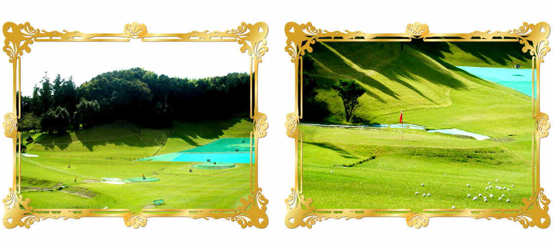 �ڤդ뤵��Ǽ�ǡۡ� ���٤����� �ۥɥ꡼�ॴ��ե����ǥ� ���ѷ� ��2,000�ߡ�10,000��ʬ�� | 2000�� 3000�� 5000�� 10000�� ���٥�� �����å� �θ������å� ����� ��������ѷ� ���ո� ���Ż�