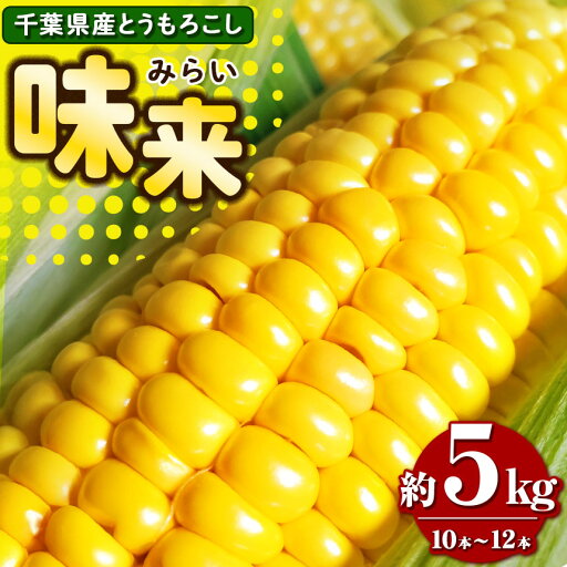 【ふるさと納税】【 2025年 先行予約 】農家直送 とうもろこし 味来 約 5kg( 10 ~ 12 本) | 高糖度 ベテラン農家 こだわり プロ 野菜 とうもろこし スイートコーン コーン トウモロコシ 里菜ファーム 新鮮 朝採り 千葉 君津 きみつ 【ふるさと納税】【 2025年 先行予約 】農家直送 とうもろこし 味来 約 5kg( 10 ~ 12 本) | 高糖度 ベテラン農家 こだわり プロ 野菜 とうもろこし スイートコーン コーン トウモロコシ 里菜ファーム 新鮮 朝採り 千葉 君津 きみつ
