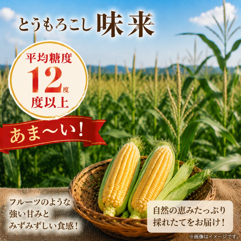 【ふるさと納税】 高糖度 とうもろこし 味来 約 5kg（10本～12 本）7月上旬から順次発送 トウモロコシ | 里菜ファーム 平均糖度12度以上 ベテラン農家 こだわり プロ 野菜 とうもろこし スイートコーン コーン トウモロコシ 新鮮 朝採り 千葉 君津 きみつ