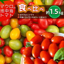 【ふるさと納税】【 先行予約 】食べ比べ !【 マウロの地中海トマト 】 カラフルミニトマト と 中玉トマト の セット 約1.5kg | アフリット 無農薬 ...