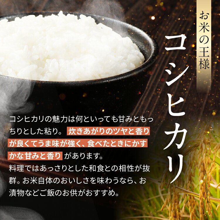 【ふるさと納税】【 上総の純粋米 】 厳選 新米 精米 令和7年産 千葉県産 コシヒカリ | 泉屋 コメ こめ お米 白米 ふっくら もちもち こしひかり おにぎり お弁当 イチオシ 千葉県 君津市 きみつ f122254-kimitsu-10000897 君津市ふるさと納税事務局 サンプル画像2
