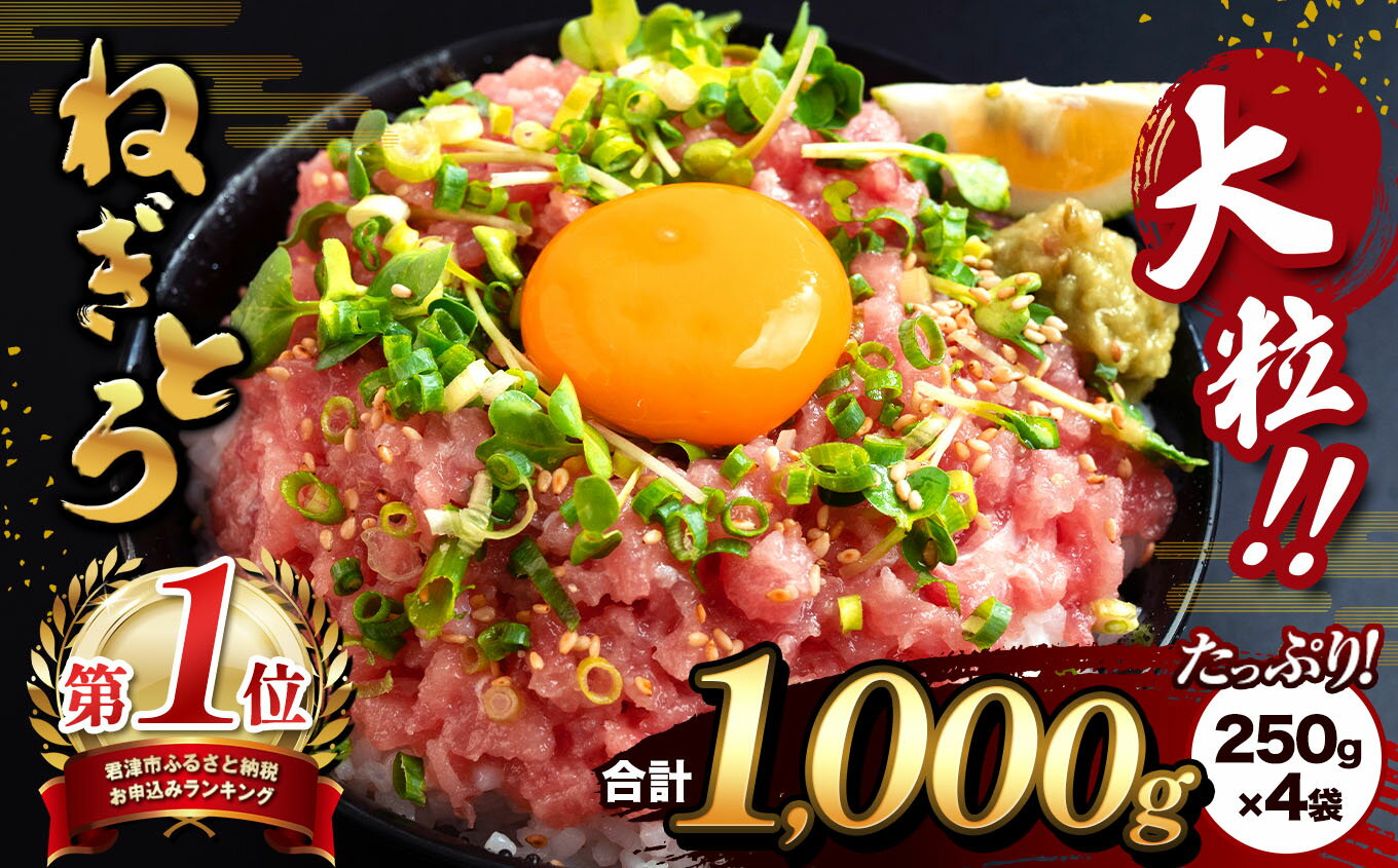 【ふるさと納税】3回 定期便 大人気 ! ＼ ベスト グルメ ／ ねぎとろ 光永卵 ミニトマト 君津市 オリジナル | ネギトロ とろ 鮪 海鮮 魚介 魚 小分け 人気 定番 ご飯 オススメ セレクト 卵 たまご スイートベル プチトマト トマト 高糖度 とまと イチオシ 千葉県