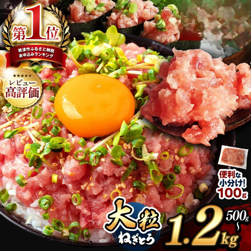 【ふるさと納税】 100g パック 定期便 選べる容量 500g 900g 1200g お試し ねぎとろ 小分け | 清幸丸水産 高評価 ネギトロ マグロ ハラミ たたき タタキ 切り落とし 鮪 海鮮 海鮮丼 手巻き 雑誌掲載 イチオシ 君津 きみつ
