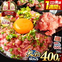 【ふるさと納税】 100g パック ★ レビューキャンペーン 実施中 ★ ねぎとろ 200g 400g 定期便 最短7日以内発送 関東限定 お試し 選べる ねぎ...