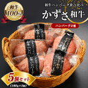 【ふるさと納税】国産 和牛 ハンバーグ 2種 セット かずさ和牛 ハンバーグ160g × 2個 和牛ハンバーグ160g × 3個 合計5個 送料無料 生・冷凍個別真空 上総 の 特選 牛肉 ブランド牛 農林水産大臣賞受賞 かずさ和牛工房 君津市 きみつ 千葉県 しらいし