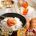【ふるさと納税】\ 卵&温たま セット /7冠達成!! たまご 永光卵 30個(10個入り×3パック) 永光卵 温泉卵(タレ付き)8個入り×1パック 上総の名水セット | 送料無料 えいこうらん 光永ファーム みつなが ゆうパック 君津市 きみつ 千葉県