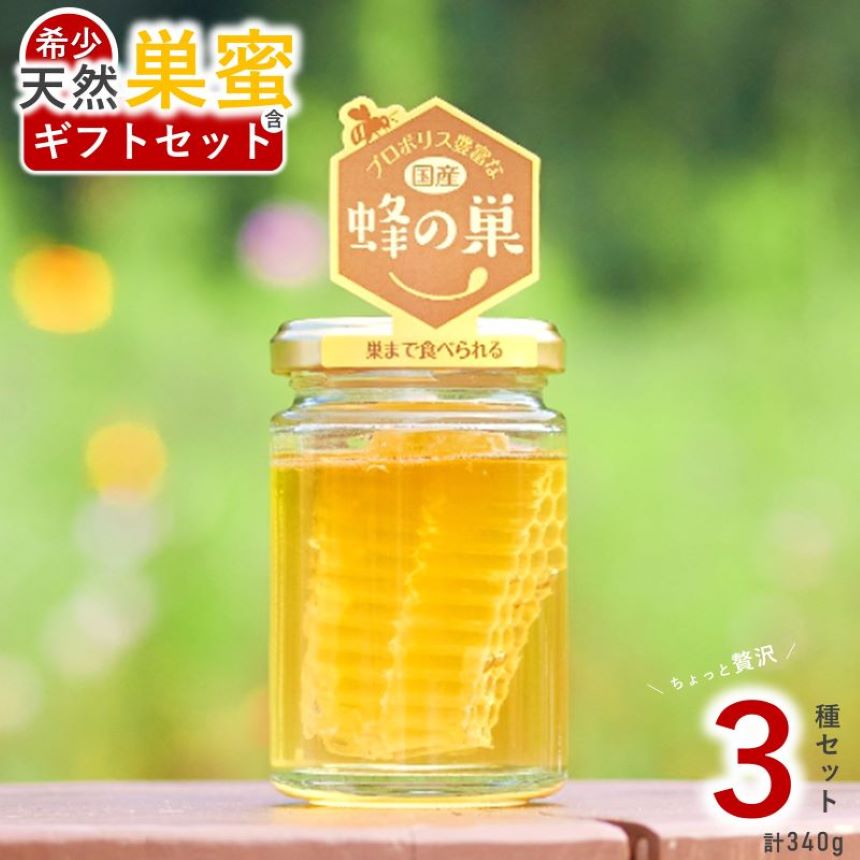 希少 天然 蜂蜜 巣蜜 ( コムハニー ) 入 ギフト3点セット | 国産 君津市 きみつ 千葉県 プレゼント 贈答用 はちみつ工房 国産 巣 の ザクザク 食感 ジュワっと 広がる 蜜 の 甘み 千葉 君津 きみつ