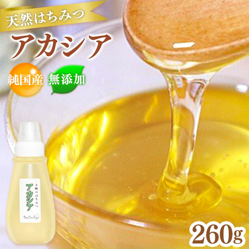 【ふるさと納税】純国産 国産 無添加 Bee concierge 「アカシアはちみつ」260g 1個 プラスチックチューブ入り 送料無料 ビーコンシェルジュ 斉藤兄弟 単花はちみつ専門 君津市 きみつ 千葉県