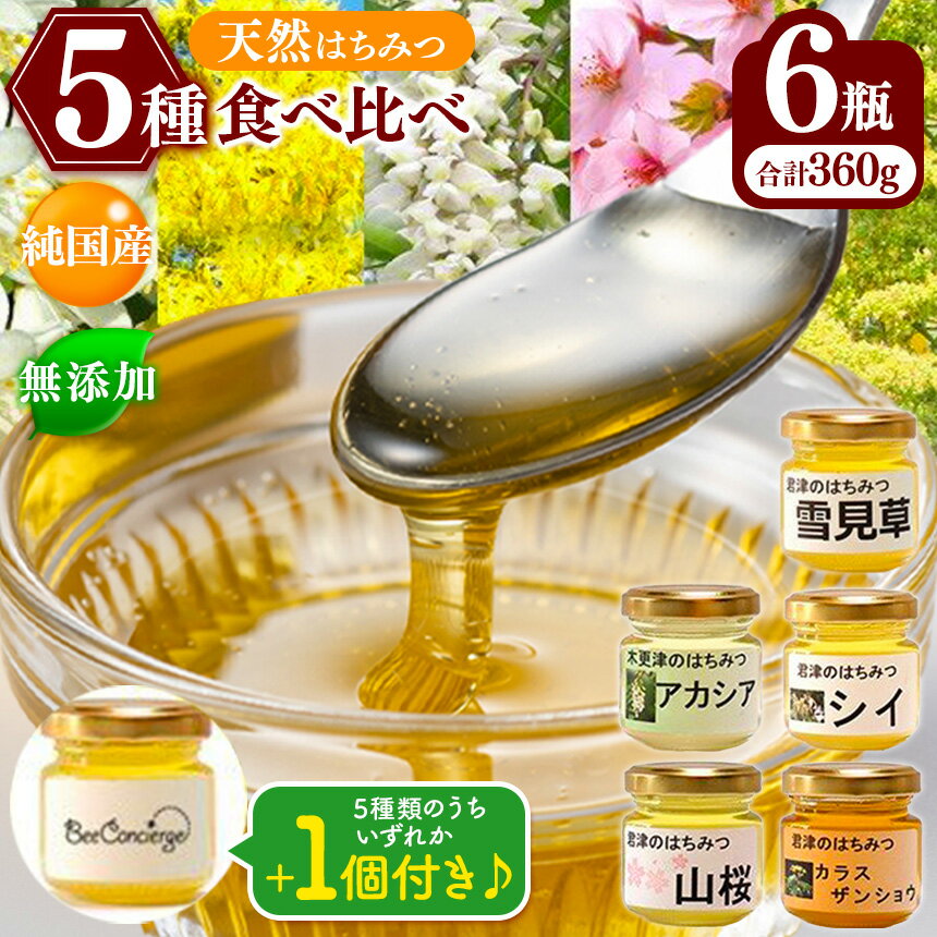 純国産 国産 無添加 Bee concierge はちみつ 5種 食べ比べセット 60g 6瓶 | アカシア 雪見草 カラスザンショウ 山桜 どんぐり ［ シイ ］）各60g × 1個 （5種類のうちいずれか1つ）送料無料 ビーコンシェルジュ 単花はちみつ専門 君津市 きみつ 千葉