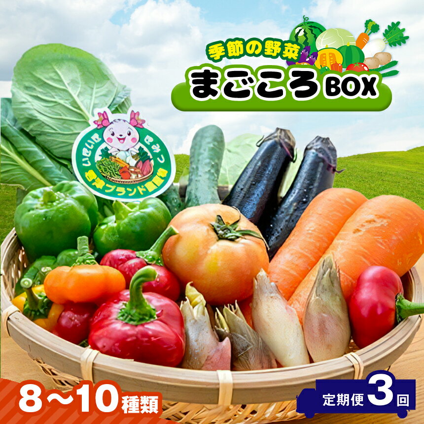 【ふるさと納税】 定期便 3回 季節の野菜 8～10種類 まごころBOX 送料無料 【月1回 計3回】 人気の直...