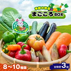 【ふるさと納税】 定期便 3回 季節の野菜 8～10種類 まごころBOX 送料無料 【月1回 計3回】 人気の直売所 新鮮野菜 直送 JA きみつ 味楽囲（みらい）さだもと店 きみつ