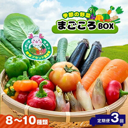 定期便 3回 季節の野菜 8～10種類 まごころBOX 送料無料 【月1回 計3回】 人気の直売所 新鮮野菜 直送 JA きみつ 味楽囲（みらい）さだもと店 きみつ