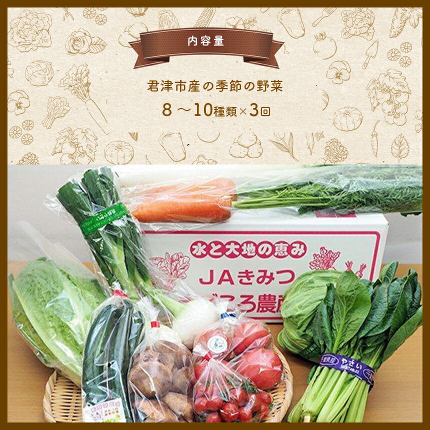 【ふるさと納税】 定期便 3回 季節の野菜 8～10種類 まごころBOX 送料無料 【月1回 計3回】 | 人気の直売所 新鮮野菜 直送 JA きみつ 味楽囲（みらい）さだもと店 きみつ