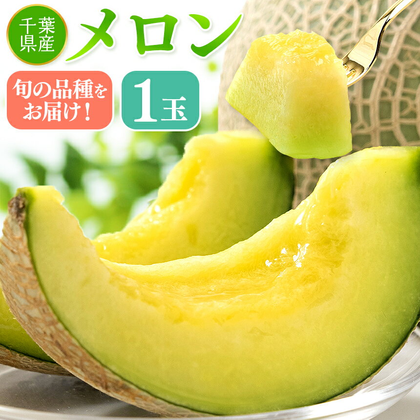 全国お取り寄せグルメ千葉野菜セット・詰め合わせNo.16