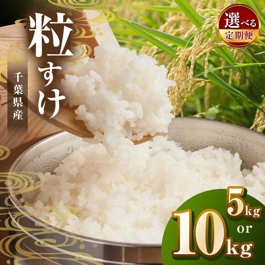 【ふるさと納税】【新米 】【選べる容量・回数】令和6年産 君津産 粒すけ 5kg or 10kg 新米 しんまい 米 コメ こめ お米 粒すけ 定期便 定期 3回 6回 千葉県産 千葉県 君津市 きみつ JAさだもとのサムネイル