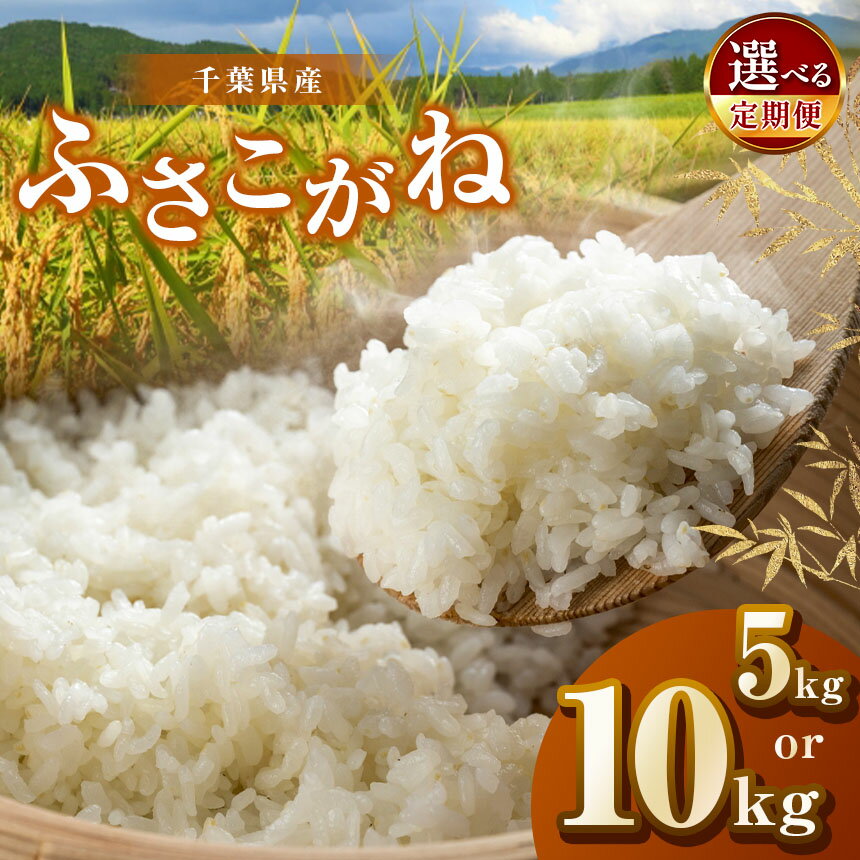 【ふるさと納税】【新米 】【選べる容量・回数】令和6年産 君津産 ふさこがね 5kg or 10kg 新米 しんまい 米 コメ こめ お米 定期便 定期 3回 6回 千葉県産 千葉県 君津市 きみつ JAさだもとのサムネイル