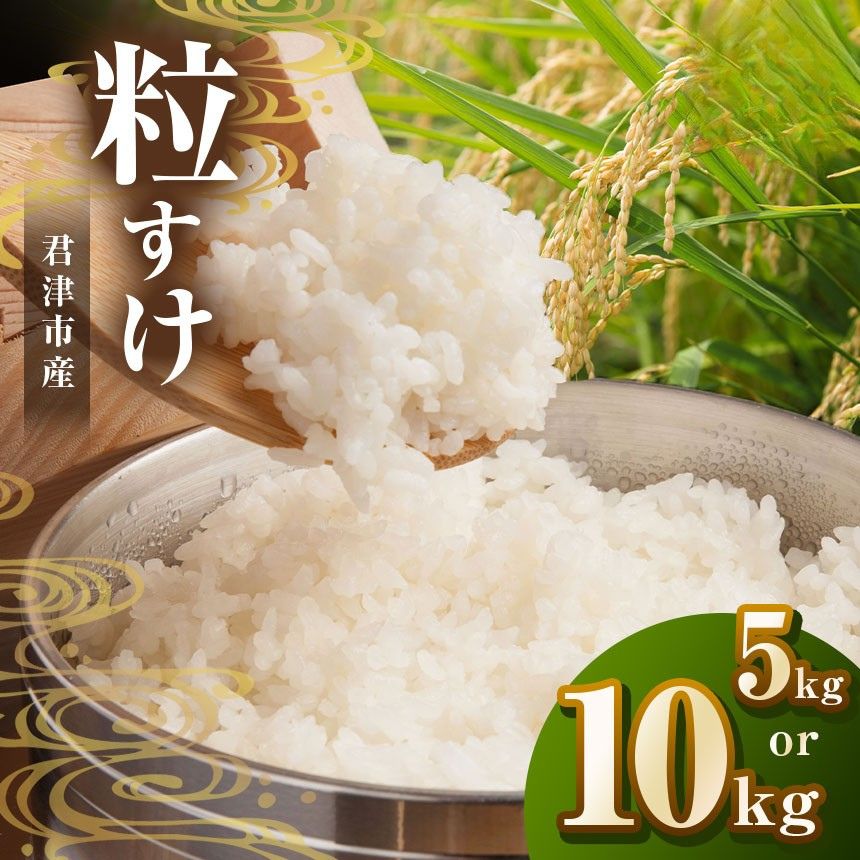 新米 [ 選べる容量 ]令和7年産 君津産 粒すけ 5kg or 10kg 米 コメ こめ お米 粒すけ 千葉県産 千葉県 君津市 きみつ JAさだもと