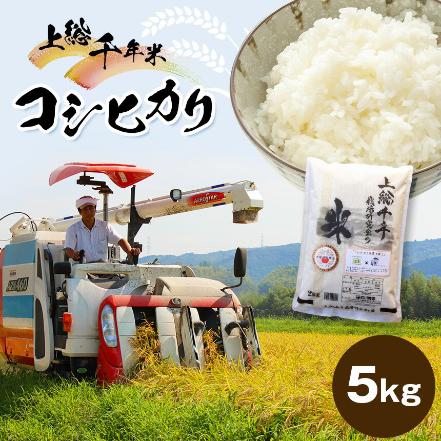 34位! 口コミ数「0件」評価「0」米 5kg 令和5年産 上総千年米 コシヒカリ | 送料無料 お米のソムリエが厳選 白米 精米 粒立ちが大きく 甘みもあり 粘り強い お米と･･･ 