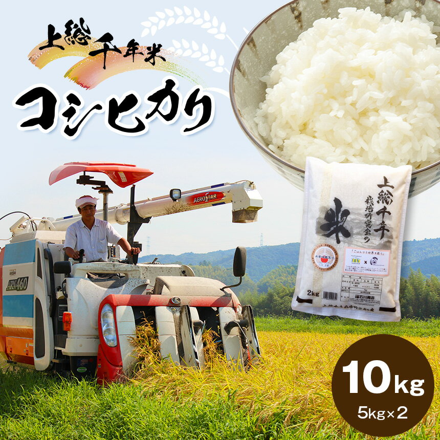 米上総千年米 コシヒカリ 10kg 令和5年産 | 送料無料 お米のソムリエ が 厳選 白米 精米 粒立ちが大きく 甘みもあり 粘り強い お米と雑穀の専門店 石川商店 君津 きみつ 千葉