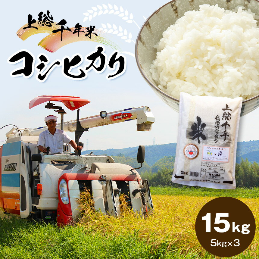 令和5年産 米 15kg 上総千年米 コシヒカリ 送料無料 お米のソムリエ が 厳選 白米 精米 粒立ちが大きく 甘みもあり 粘り強い 君津市産 お米と雑穀の専門店 石川商店 君津市 きみつ 千葉県