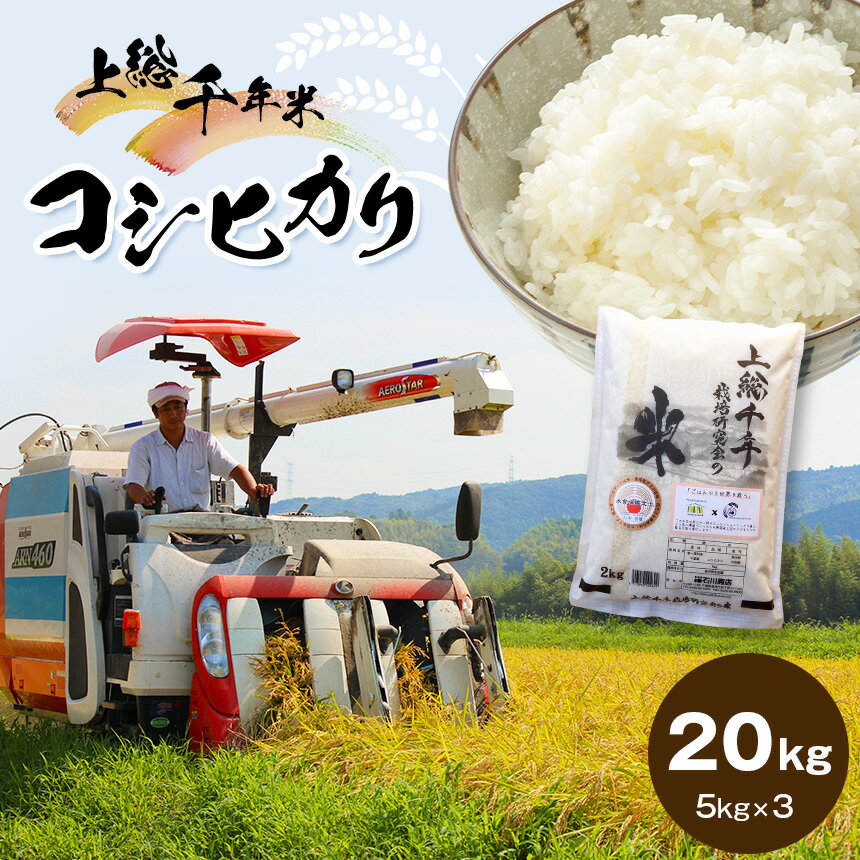 17位! 口コミ数「0件」評価「0」米 20kg 上総千年米 コシヒカリ 令和5年産 | 送料無料 お米のソムリエが厳選 白米 精米 粒立ちが大きく 甘みもあり 粘り強い お米･･･ 