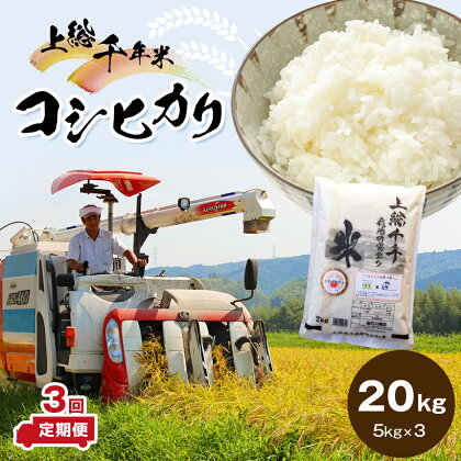 米 定期便 上総千年米 コシヒカリ 20kg × 3ヶ月 送料無料 計60kg 令和5年産 お米のソムリエが厳選 白米 精米 粒立ちが大きく 甘みもあり 粘り強い お米と雑穀の専門店 石川商店 君津市 きみつ 千葉県