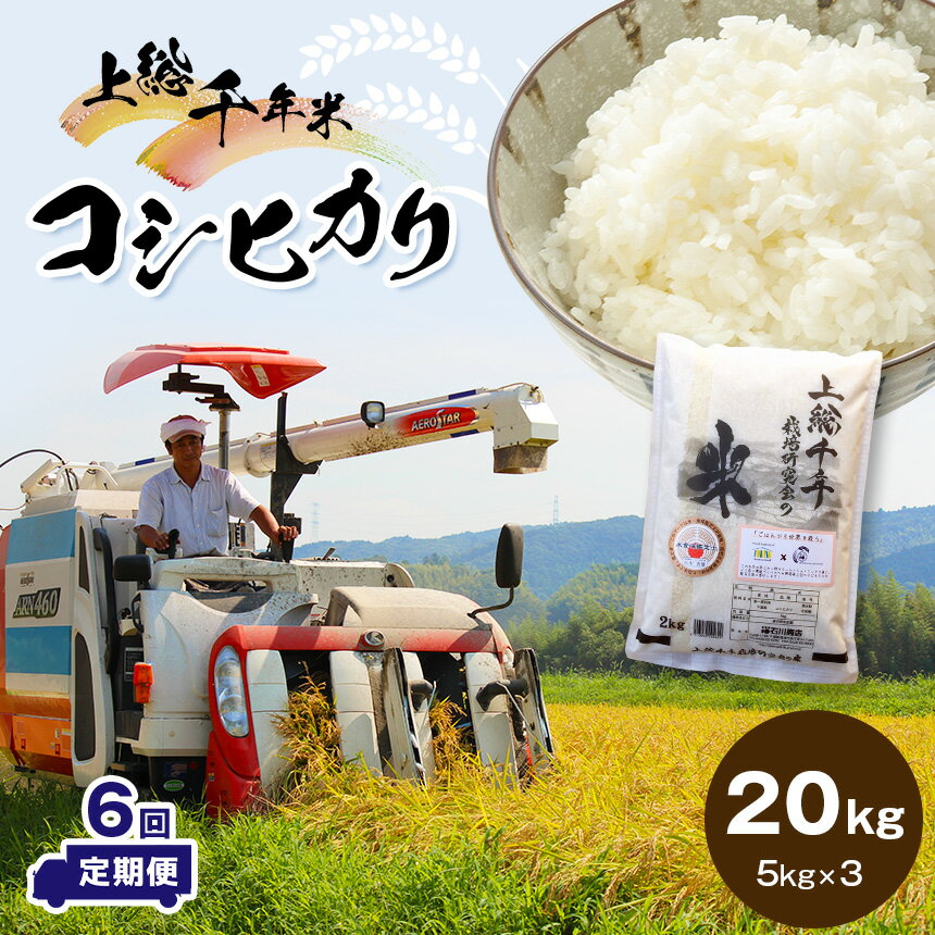 37位! 口コミ数「0件」評価「0」 米 定期便 上総千年米 コシヒカリ 令和5年産 20kg 6ヶ月 計120kg | 送料無料 お米のソムリエが 選 白米 精米 粒立ちが大･･･ 