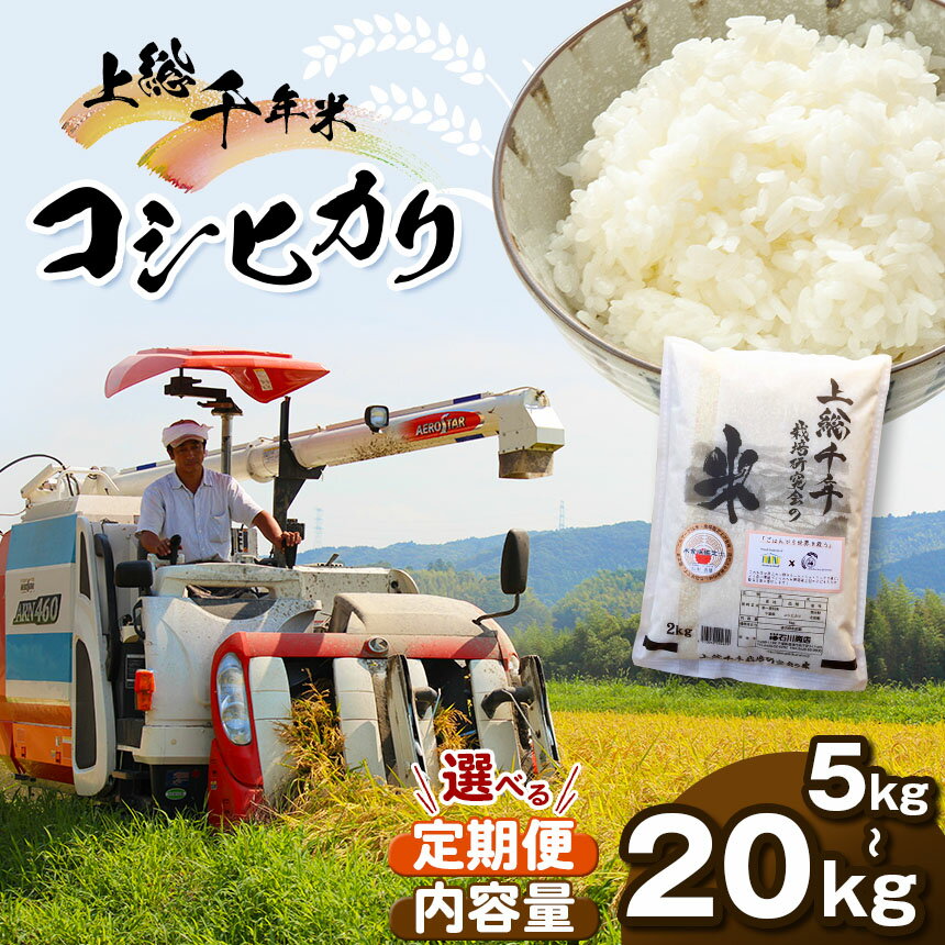 新米 令和7年産 上総千年米 コシヒカリ 5kg〜20kg 1回・3回 ・6回 選べる数量 と 回数 定期便 | 送料無料 お米のソムリエ 厳選 白米 精米 粒が大きい 甘み 粘り強い お米と雑穀の専門店 国際支援 石川商店 君津 きみつ 千葉