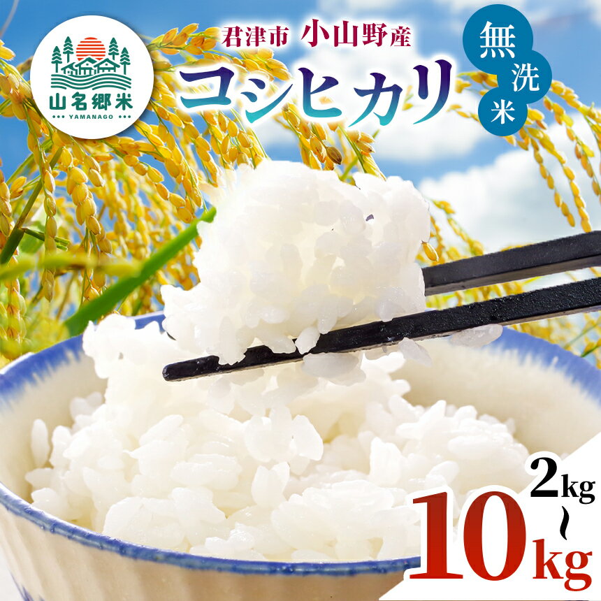[ 先行予約 ]＼ 8月下旬から順次発送 / 無洗米 令和7年産 君津市 小山野産 コシヒカリ 新米 選べる容量 2kg 3kg 5kg 10kg | メディアで紹介 あかかげ農園 山名郷米 千葉稲作 しんまい こしひかり むせんまい 米 コメ こめ お米 イチオシ 千葉県産 きみつ