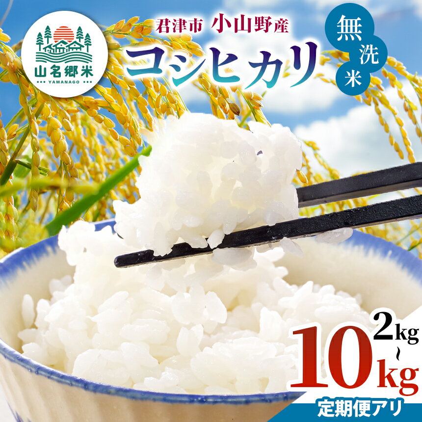 年内発送 新米 無洗米 定期便 3回 令和7年産 君津市 コシヒカリ 選べる回数 選べる容量 2kg 3kg 5kg 10kg | あかかげ農園 山名郷米 千葉稲作 こしひかり 米 こめ お米 イチオシ 千葉県産 きみつ
